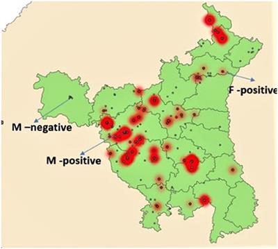 Prevalence of Newcastle Disease Virus in Commercial and Backyard Poultry in Haryana, India